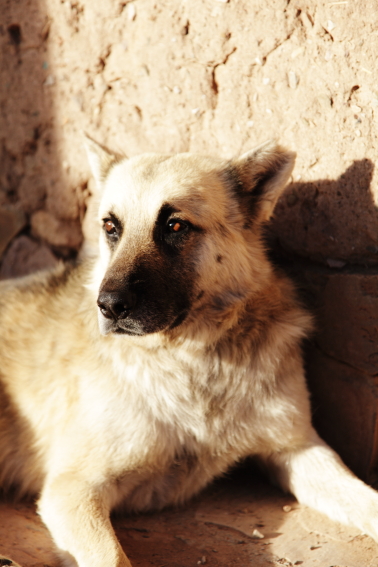 f:id:rufuto2007:20110131201843j:image:right