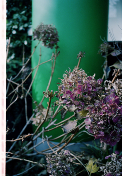 f:id:rufuto2007:20130121103641j:image f:id:rufuto2007:20130121103641j:image