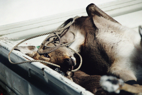 f:id:rufuto2007:20130228130304j:image