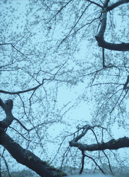 f:id:rufuto2007:20130407040543j:image f:id:rufuto2007:20130407040543j:image