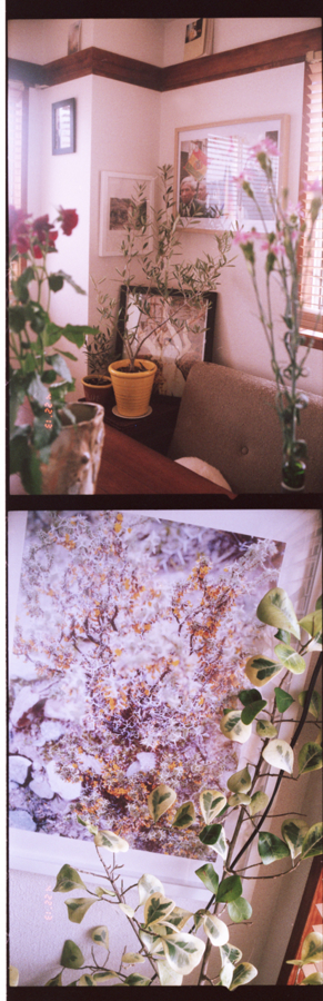 f:id:rufuto2007:20130616091246j:image