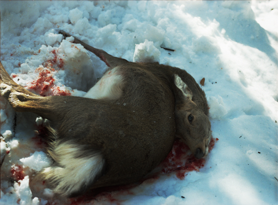 f:id:rufuto2007:20130812174357j:image:right