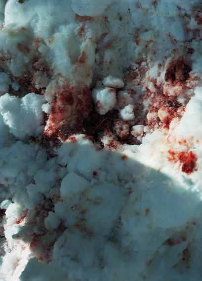 f:id:rufuto2007:20130812174430j:image