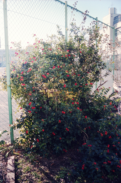 f:id:rufuto2007:20130919180834j:image