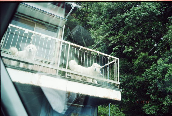 f:id:rufuto2007:20130920054636j:image