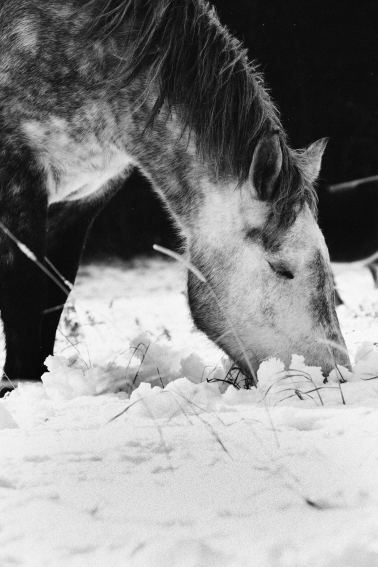 f:id:rufuto2007:20131230113803j:image:right