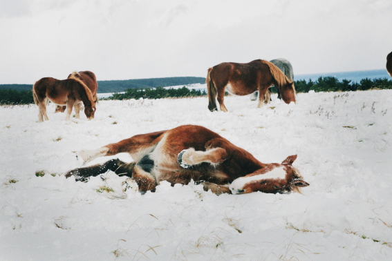 f:id:rufuto2007:20131230114205j:image