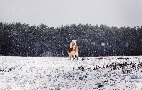 f:id:rufuto2007:20131230115027j:image