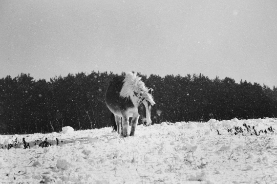 f:id:rufuto2007:20131230115046j:image