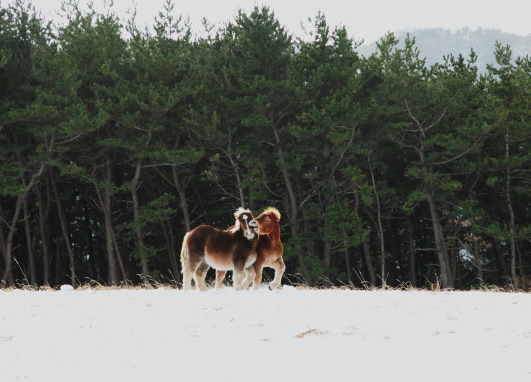 f:id:rufuto2007:20131230120018j:image:right