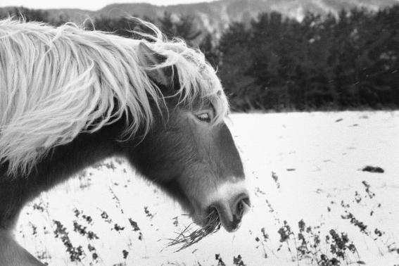 f:id:rufuto2007:20131230121117j:image