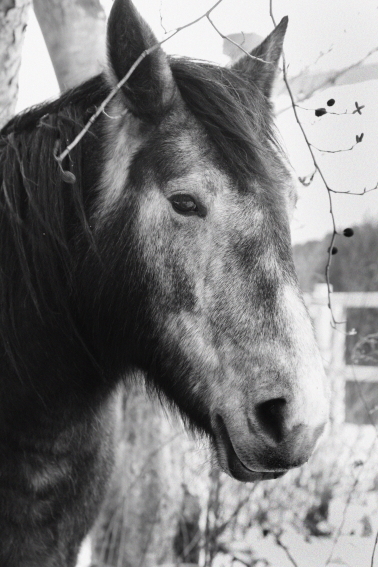 f:id:rufuto2007:20131230134404j:image