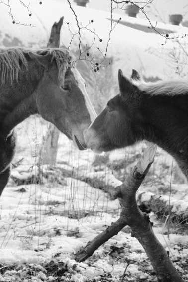 f:id:rufuto2007:20131230135440j:image