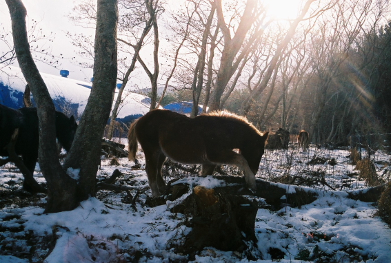 f:id:rufuto2007:20140106122427j:image