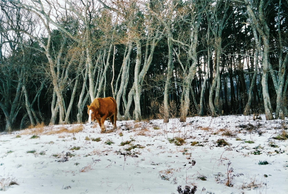 f:id:rufuto2007:20140106122615j:image