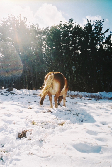 f:id:rufuto2007:20140106122616j:image