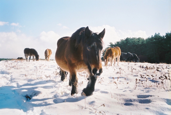 f:id:rufuto2007:20140106122617j:image