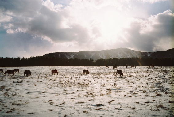 f:id:rufuto2007:20140106122924j:image