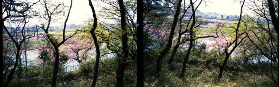 f:id:rufuto2007:20140428201458j:image f:id:rufuto2007:20140428201458j:image