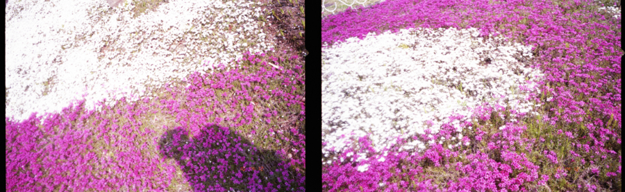 f:id:rufuto2007:20140428201646j:image f:id:rufuto2007:20140428201646j:image