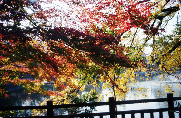 f:id:rufuto2007:20140501000929j:image f:id:rufuto2007:20140501000929j:image