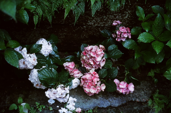 f:id:rufuto2007:20140613225142j:image f:id:rufuto2007:20140613225142j:image