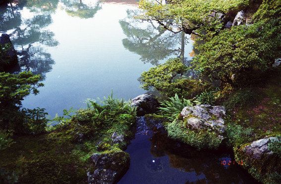 f:id:rufuto2007:20140615005552j:image f:id:rufuto2007:20140615005552j:image