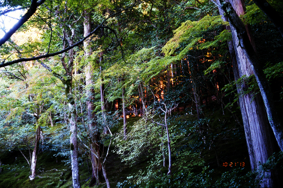 f:id:rufuto2007:20140615005724j:image f:id:rufuto2007:20140615005724j:image