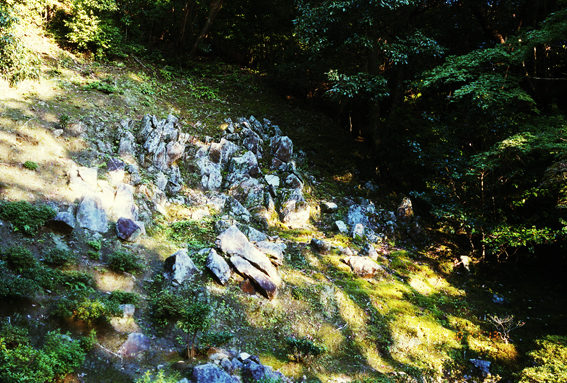 f:id:rufuto2007:20140615005811j:image f:id:rufuto2007:20140615005811j:image