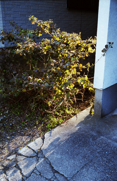 f:id:rufuto2007:20140929165942j:image:right f:id:rufuto2007:20140929165942j:image:right