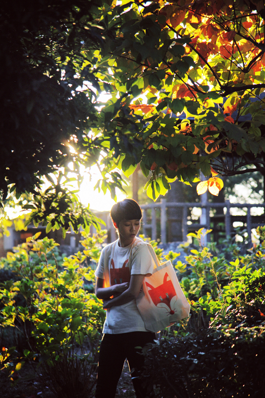 f:id:rufuto2007:20141029163054j:image f:id:rufuto2007:20141029163054j:image