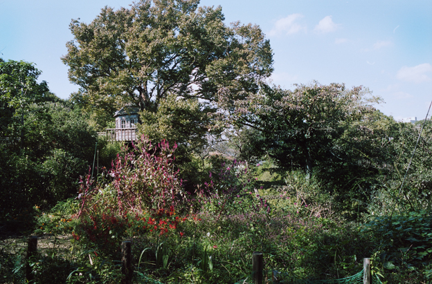 f:id:rufuto2007:20141030010752j:image f:id:rufuto2007:20141030010752j:image