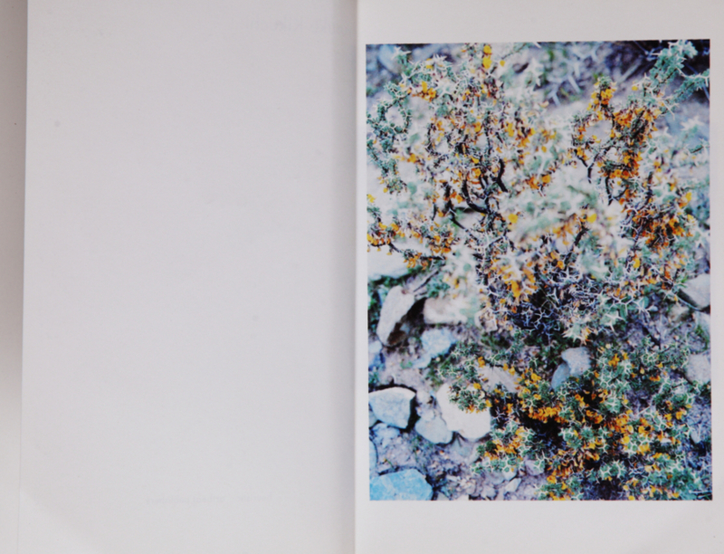 f:id:rufuto2007:20141112120258j:image f:id:rufuto2007:20141112120258j:image