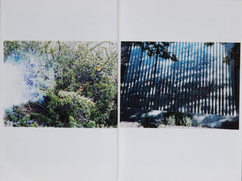 f:id:rufuto2007:20141112120329j:image f:id:rufuto2007:20141112120329j:image