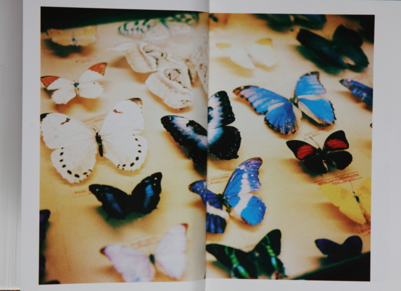 f:id:rufuto2007:20141112120830j:image f:id:rufuto2007:20141112120830j:image