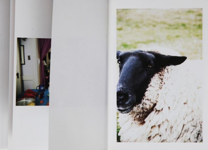 f:id:rufuto2007:20141112121018j:image f:id:rufuto2007:20141112121018j:image