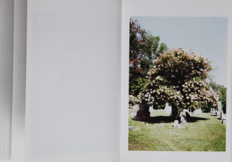 f:id:rufuto2007:20141112121103j:image f:id:rufuto2007:20141112121103j:image