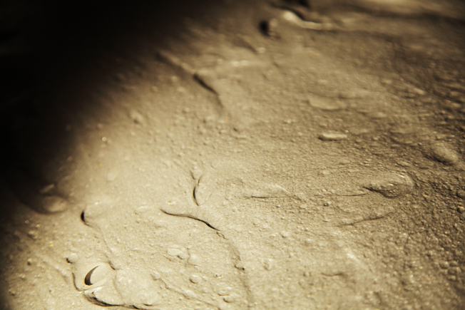 f:id:rufuto2007:20141231133644j:image f:id:rufuto2007:20141231133644j:image