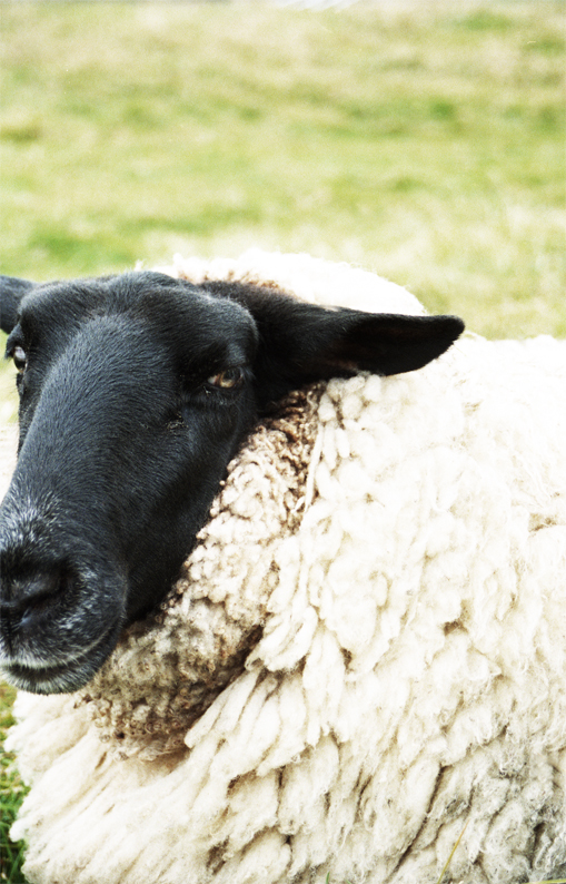 f:id:rufuto2007:20150106121753j:image f:id:rufuto2007:20150106121753j:image