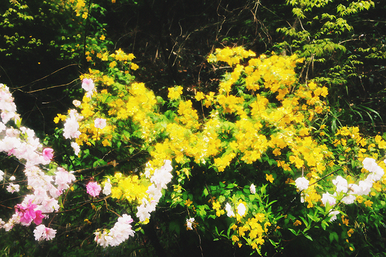 f:id:rufuto2007:20150414192920j:image f:id:rufuto2007:20150414192920j:image