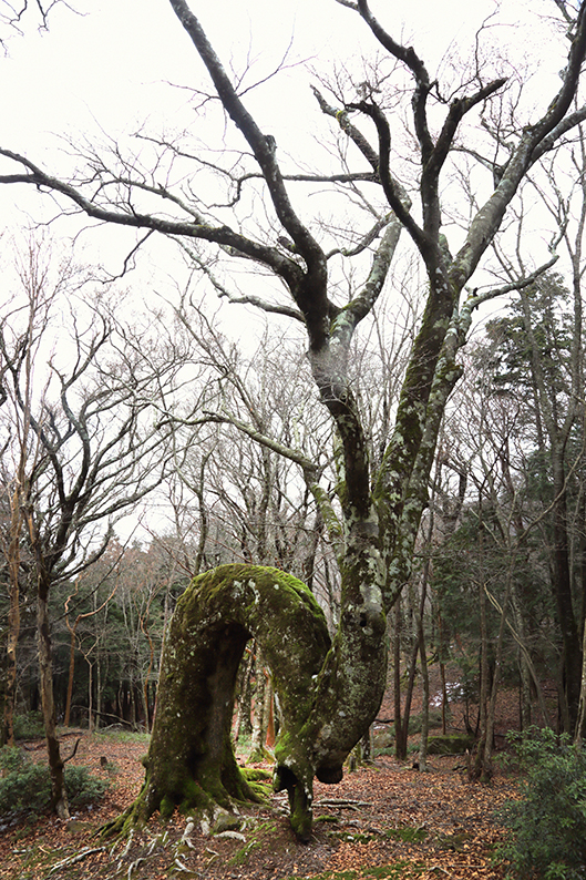 f:id:rufuto2007:20150414201519j:image f:id:rufuto2007:20150414201519j:image