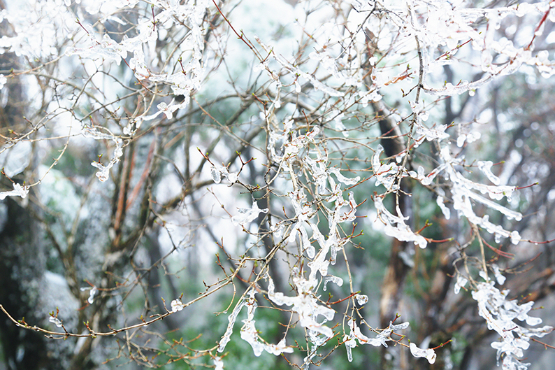 f:id:rufuto2007:20150414201638j:image f:id:rufuto2007:20150414201638j:image