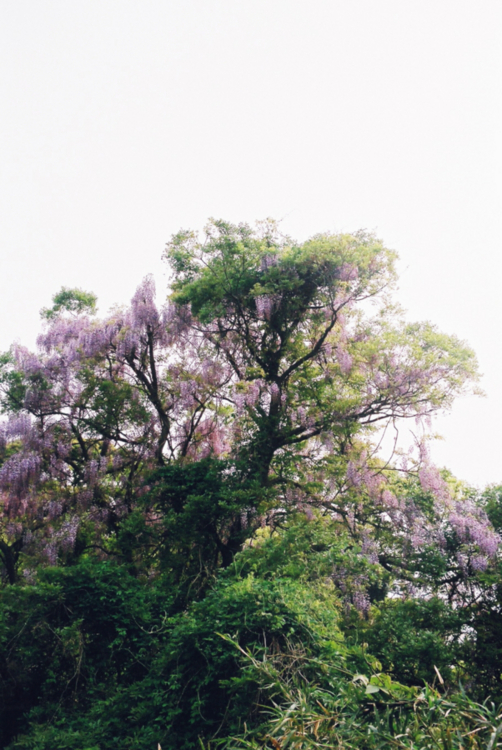 f:id:rufuto2007:20150521054847j:image f:id:rufuto2007:20150521054847j:image