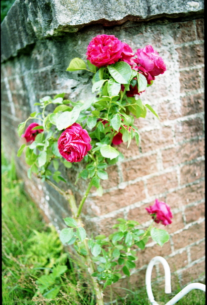 f:id:rufuto2007:20150609041423j:image f:id:rufuto2007:20150609041423j:image