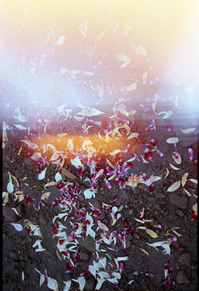 f:id:rufuto2007:20150609041639j:image f:id:rufuto2007:20150609041639j:image