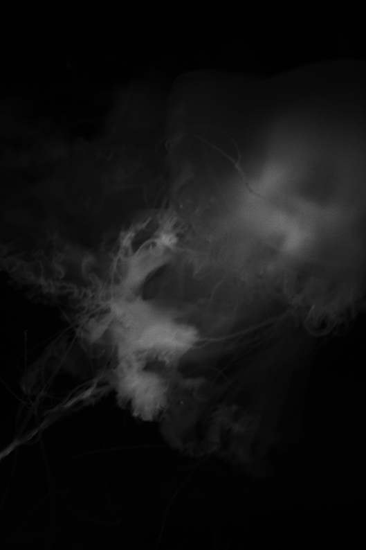 f:id:rufuto2007:20150724062457j:image f:id:rufuto2007:20150724062457j:image