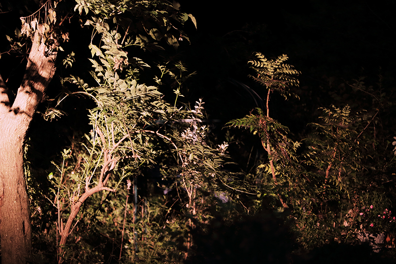 f:id:rufuto2007:20150918043906j:image f:id:rufuto2007:20150918043906j:image