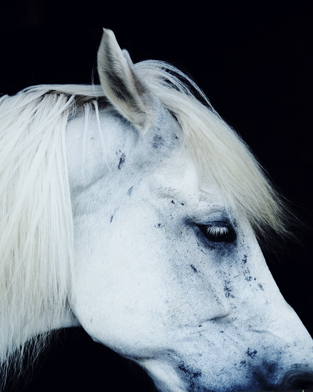 f:id:rufuto2007:20150930211820j:image f:id:rufuto2007:20150930211820j:image