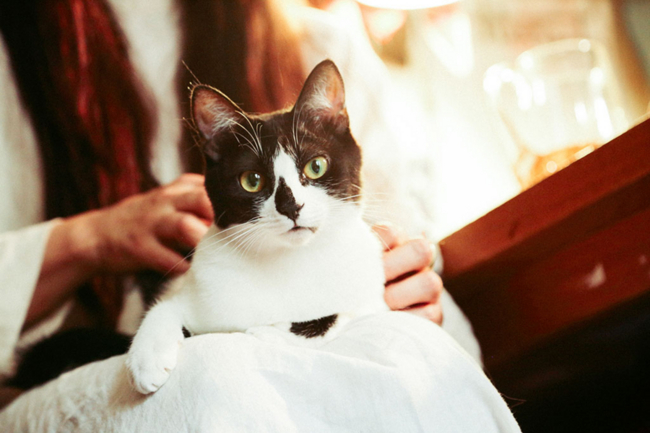 f:id:rufuto2007:20160522040031j:image