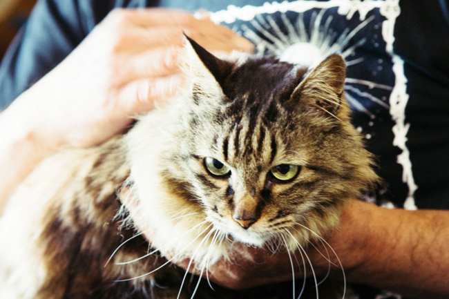 f:id:rufuto2007:20160522040033j:image